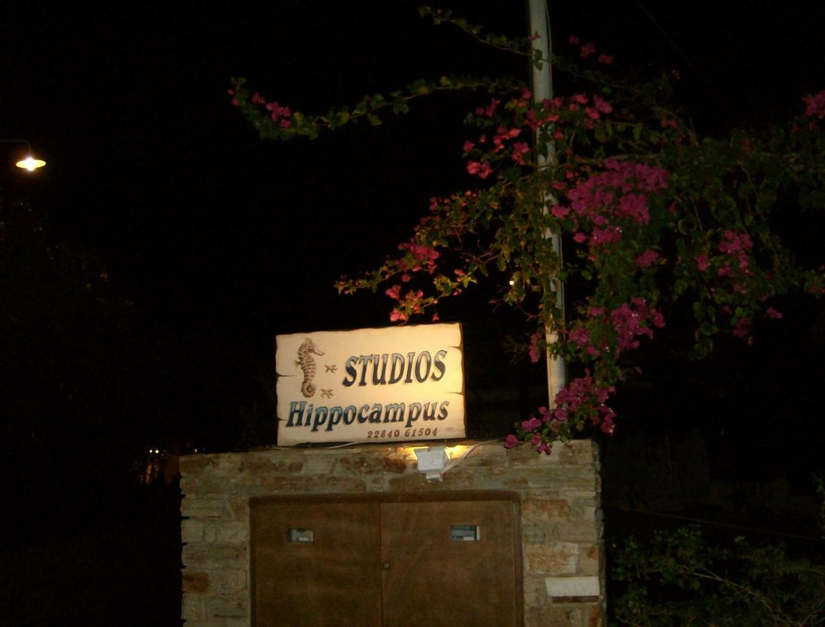 Hippocampus Studios Antiparos Exterior photo